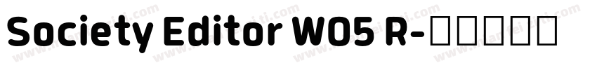Society Editor W05 R字体转换